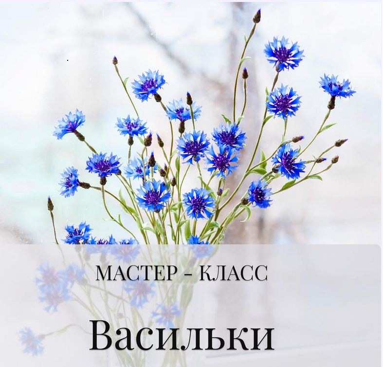 Васильки (Дина Косточка)