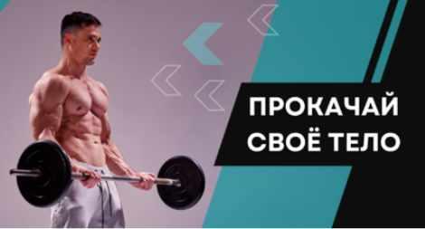 Гайд по тренажерному залу (Всеволод Фиолковский)