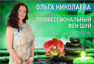 [ВШВМ] Курс Профессиональный фэн-шуй дома и квартиры. Базовый уровень (Ольга Николаева)