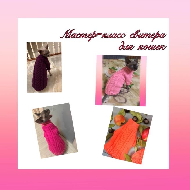 Мастер-класс свитера для кошек Бесконечность (Модный look для домашних питомцев)