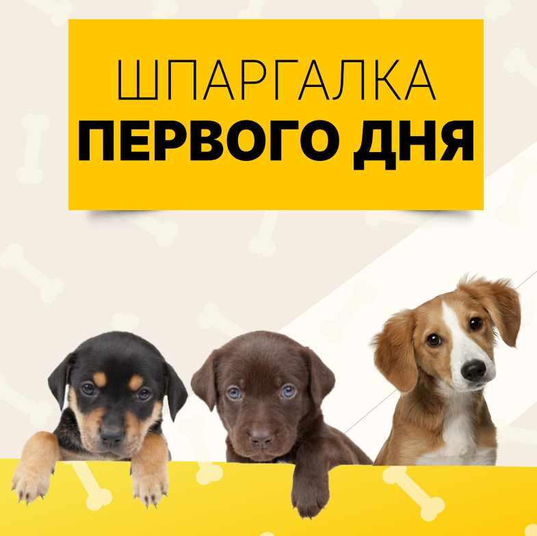 Шпаргалка первого дня (Ольга Сысоева)