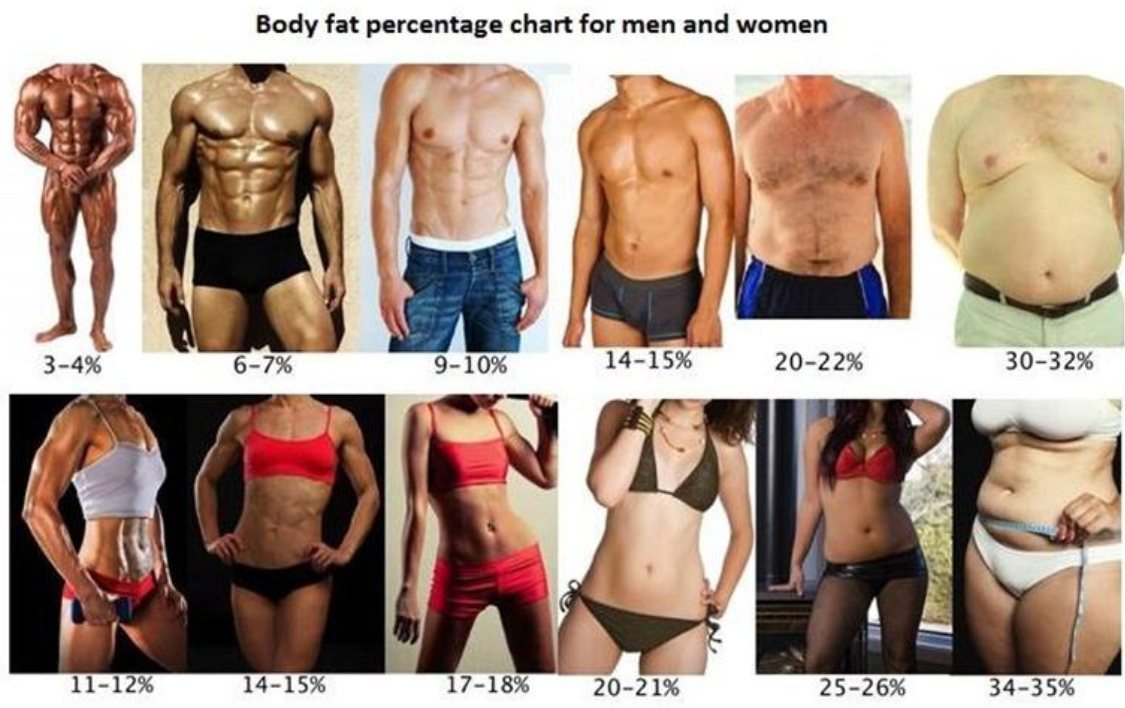 Сжигание жира