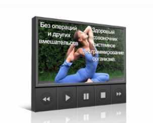 Здоровый позвоночник. Системное программирование организма (Инесса Власова)