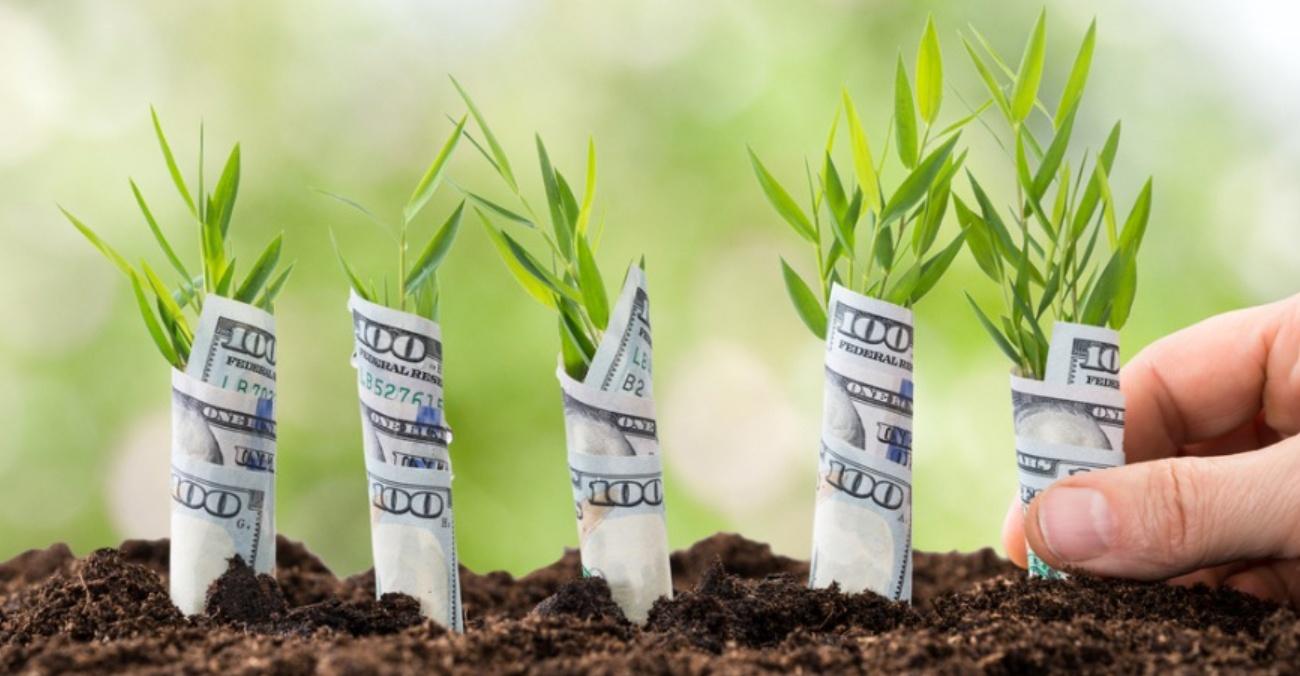 Тренинг  PROденьги  (Татьяна Мараховская)