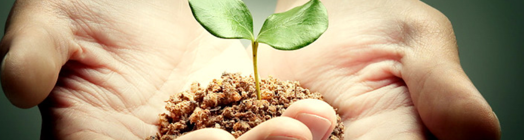 [Интераура] Нормализация работы мочевыделительной системы, женская версия