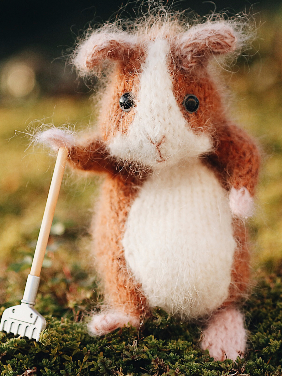 [Вяжи.ру] Морская Свинка Guinea Pig (Claire Garland), фото 1 из 1.