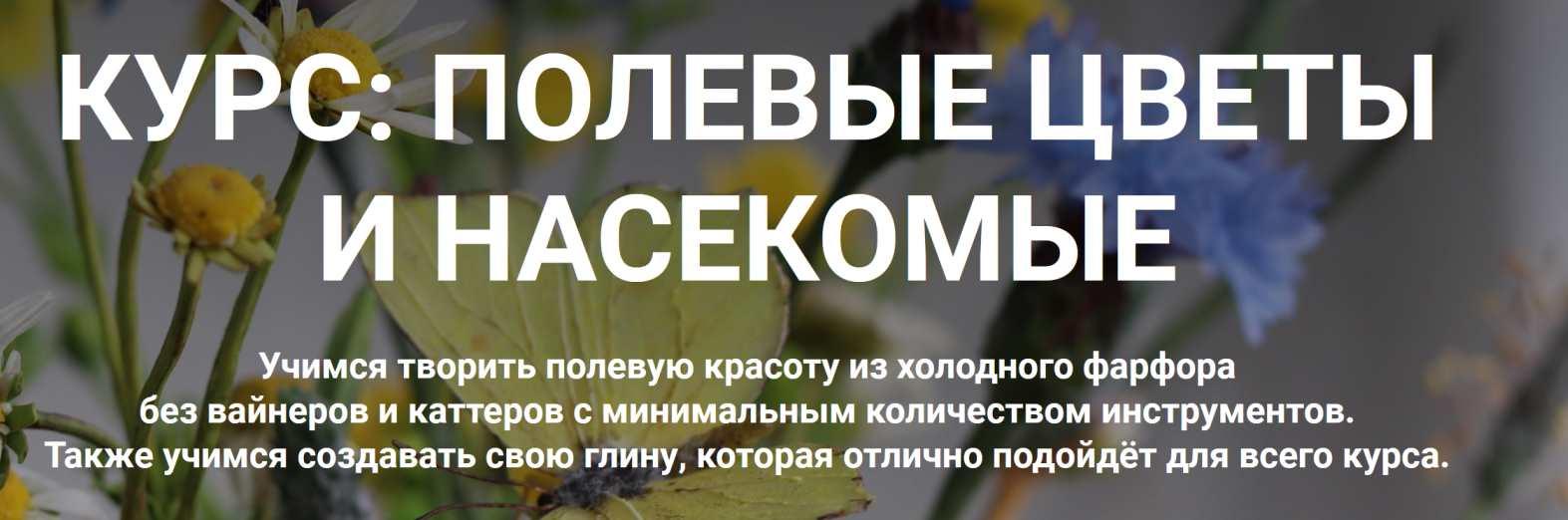 [Liubov Miro Clay School] Полевые цветы и насекомые. Тариф Базовый (Любовь Мирошниченко)