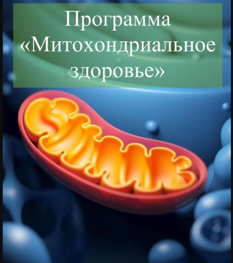 Программа "Митохондриальное здоровье" (Виктория Суслова)