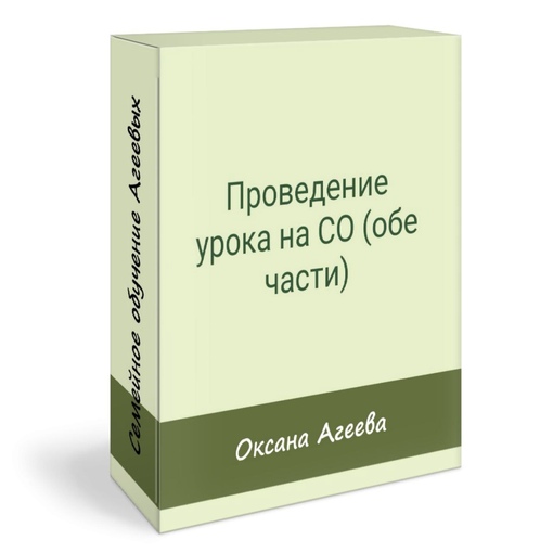 [Семейное обучение Агеевых] Проведение урока на СО (Оксана Агеева)