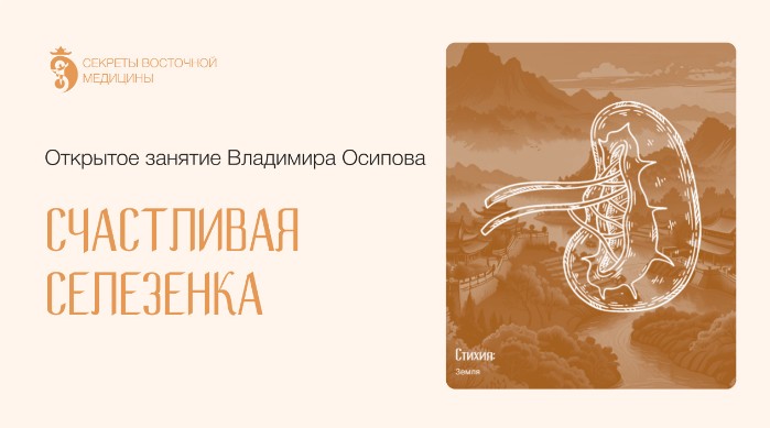 Счастливая Селезенка. Тариф VIP (Владимир Осипов)