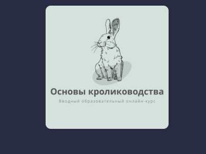 [Stepik] Основы кролиководства (Ева Гагурина)
