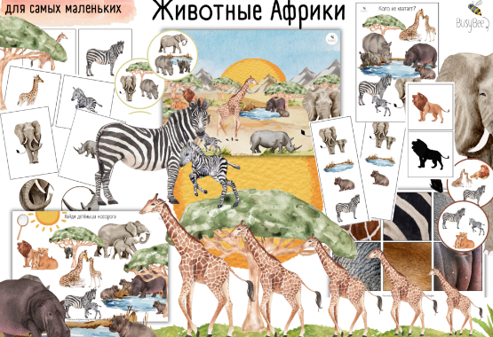 [busy-bee] Проект Животные Африки