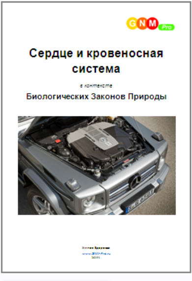 [Умное здоровье] Сердце и кровеносная система в контексте Биологических Законов Природы, фото 1 из 1.