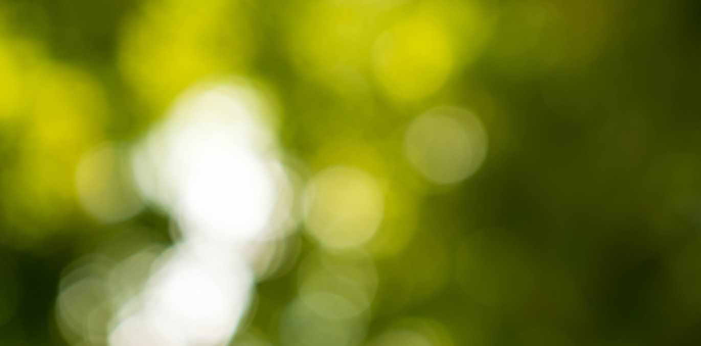 [Morpheus Fields] Поле, которое тебе нужно. Премиум