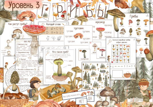 [busy-bee] Проект Грибы уровень 3 (Елена Самсонова), фото 1 из 1.