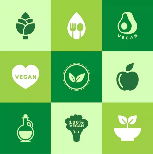 [DocMa] Чек-ап для вегетарианцев (Альфия Понамарева)