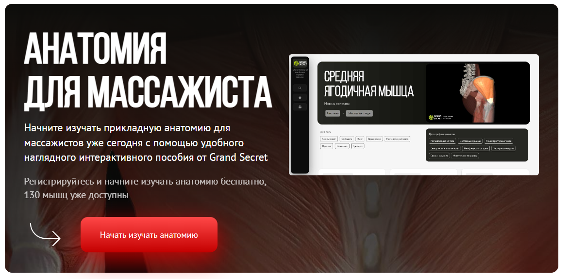 [Grand Secret] Анатомия для массажиста (Максим Волков)
