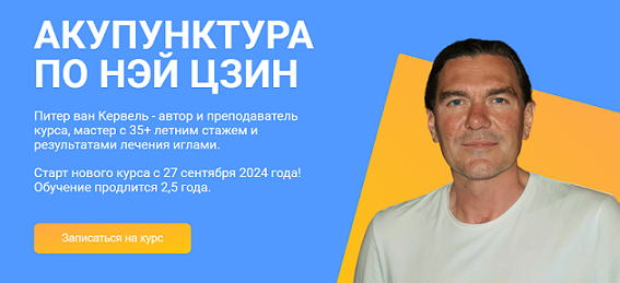 [Краниосакральная академия] Акупунктура по Нэй Цзин. Семинар 11 (Питер ван Кервель)