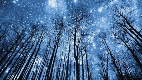 Астрология налегке. Декабрь 2024 - Январь 2025. Тариф Очарованный небом (Анна Староминская, Константин Дараган)