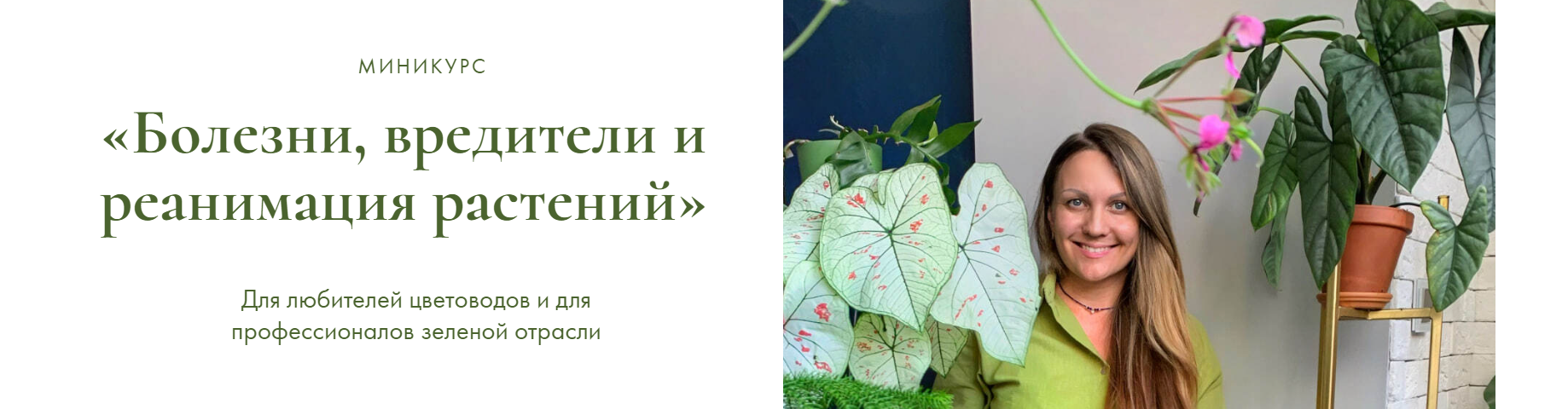 Болезни вредители и реанимация растений (Ксения Занина)