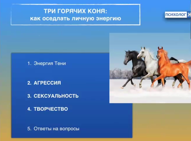 Три горячих коня: как оседлать личную энергию (Евгений Жидков)