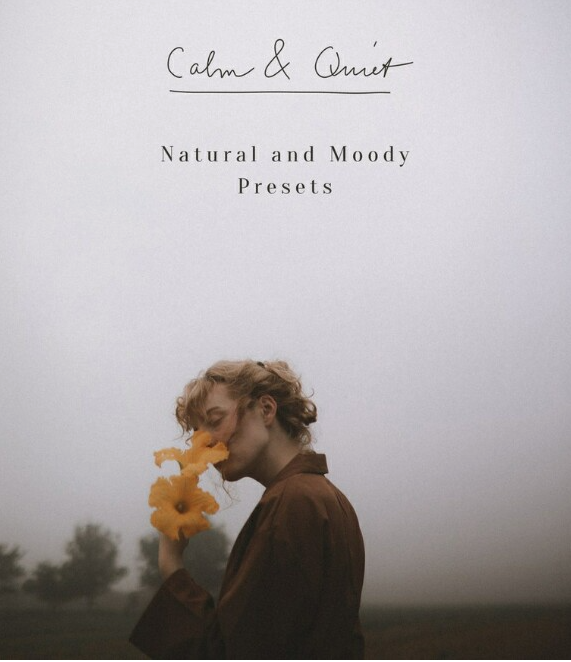 Пресеты - Calm & Quiet 2023 (Tina Sosna)