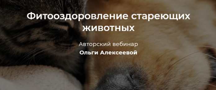 Фитооздоровление стареющих животных (Ольга Алексеева)