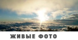 [Udemy] Живые фото на iPhone и iPad. Как на фото добавить движение (Дмитрий Мигунов)