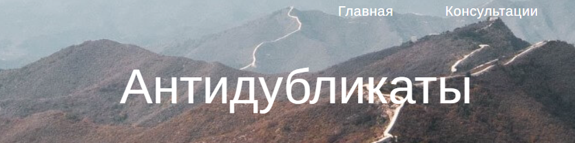 Антидубликаты (Юлия Бальсина)