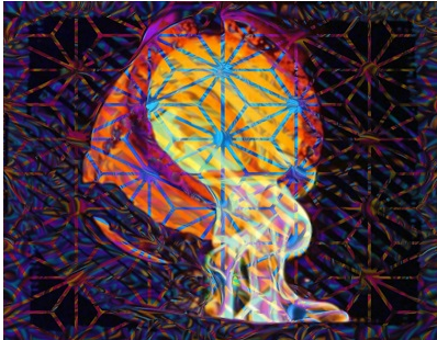 [Sapien Medicine] Горнило ментального пространства / The crucible of mental space