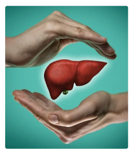 [Люмос 22] Исцеление позвоночника и суставов! Модуль Здоровая печень (Татьяна Панюшкина)