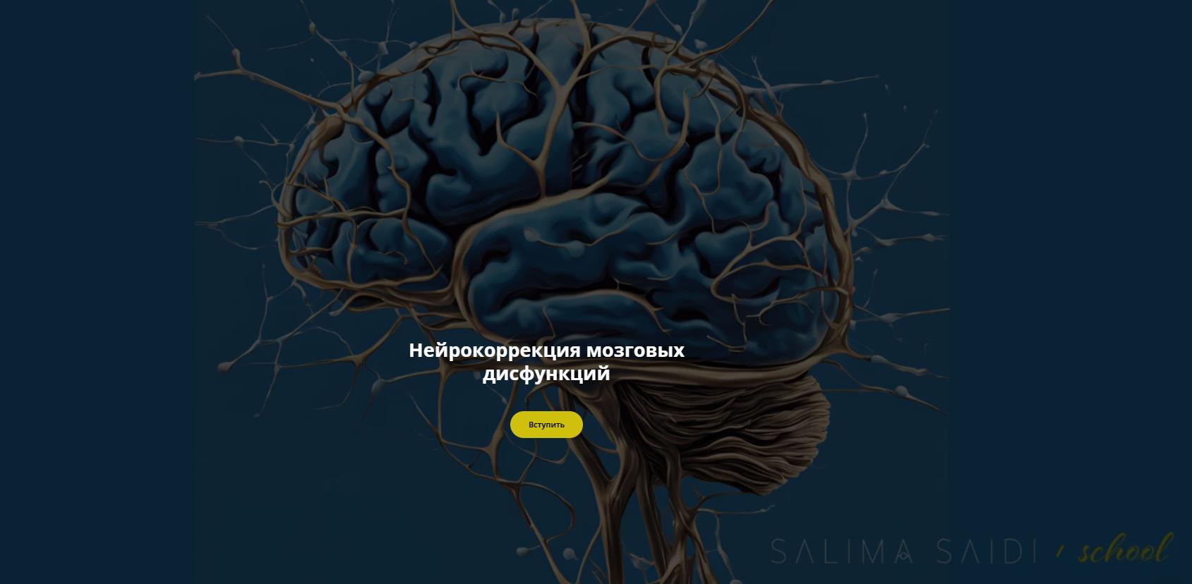 Нейрокоррекция мозговых дисфункций (Салима Саиди)