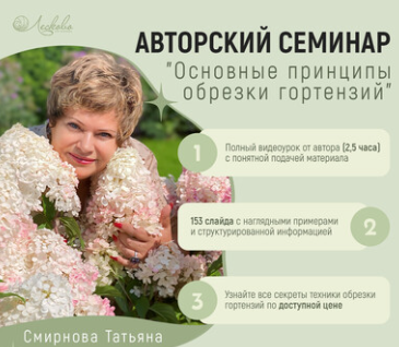 Основные принципы обрезки гортензий (Татьяна Смирнова)