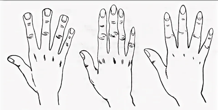 [Nesoacademy] Специальное предложение. Определение психотипа по форме ладони, 2019 (Наталья Неверова)