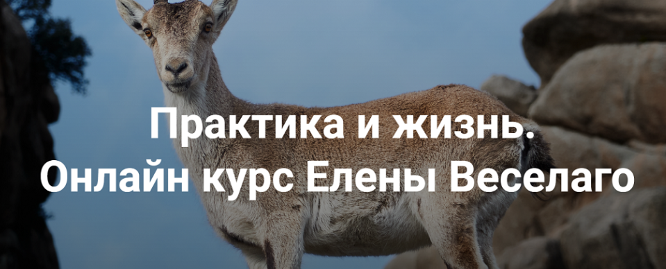 [Институт Открытого Поля] Практика и жизнь 2024. Ступень 1 (Елена Веселаго)
