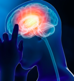 [Синофарм] Китайские средства для улучшения деятельности головного мозга или китайские ноотропы (Сергей Зайцев)