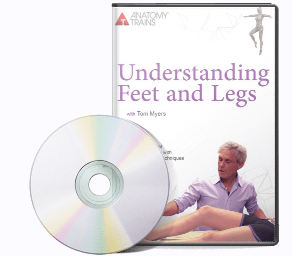 Понимание ног (Томас Майерс)