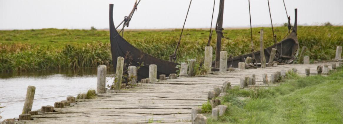 [tutorplace] Тренировка памяти (Ирина Петрова)