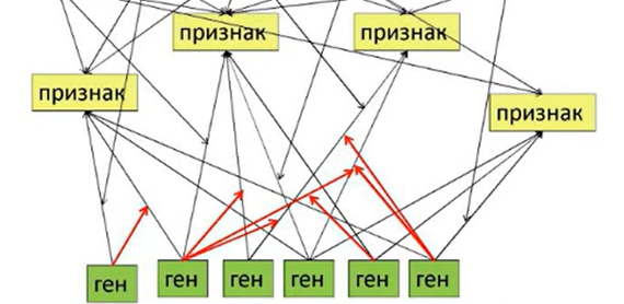 [Институт Психоанализа] Бакалавр психологии. 2-е высшее, 4-й семестр