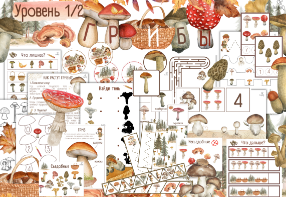[busy-bee] Проект Грибы уровень 1/2 (Елена Самсонова), фото 1 из 1.