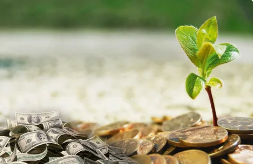 Сборник тренингов 2014-2015 (Рами Блект)