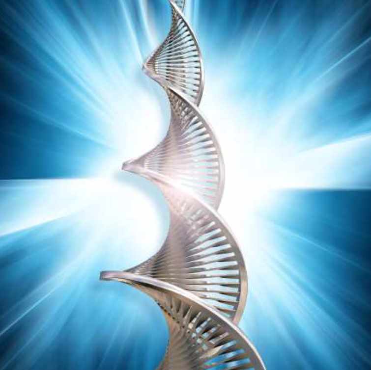 Кундалини Рейки Платина (Оле Габриэльсен, Марияна Габриэльсен), фото 1 из 1.