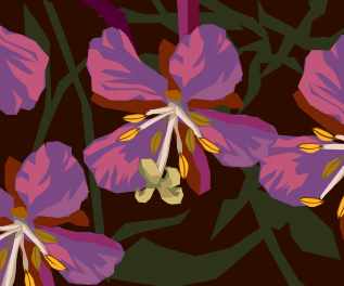 Расширение возможностей рейки (Стефани Брейл)