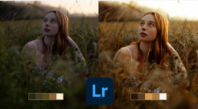 Что делает фотографию хорошей: Руководство для начинающих по редактированию в Lightroom. С переводом (Дэниел Нвабуко, Daniel Nwabuko)