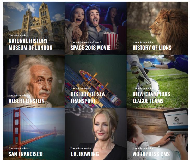 [themeforest.net] Wikilogy - Тема WordPress для Вики, журналов и новостей (GloriaThemes)