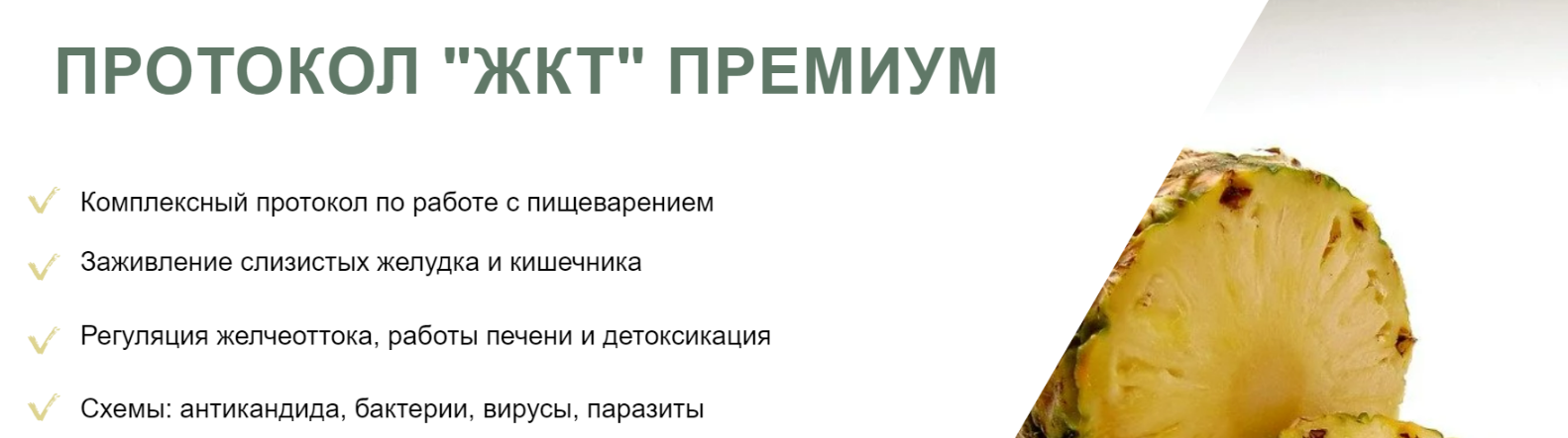 [lana Dietolog] Протокол ЖКТ Премиум (Светлана Литвиненко)