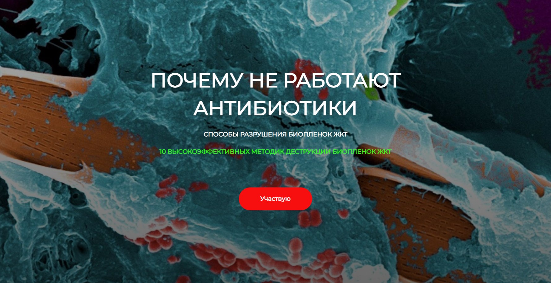 [Detoxkafa] Почему не работают антибиотики. Способы разрушения биопленок (Игорь Кауфман)