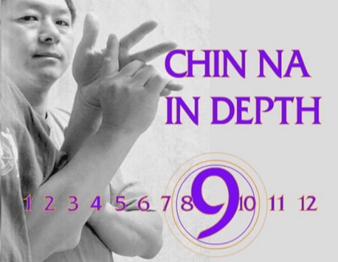 Боевые Искусства. Цинь на. Chin Na in Depth 9 (Ян Цзюн Мин)