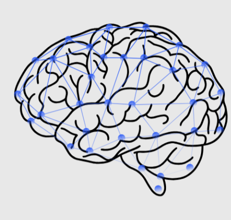 [Sovremenijmetod] Whole Brain Synchronization 30-дневный метод автоматического обучения языков