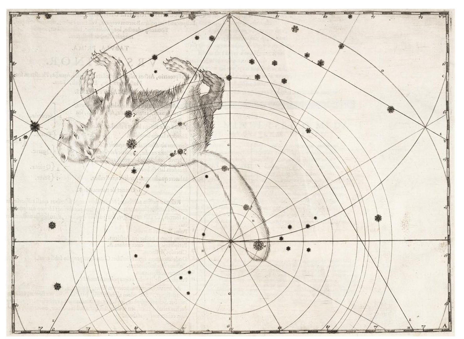 Неподвижные звезды (Антон Григорьев)